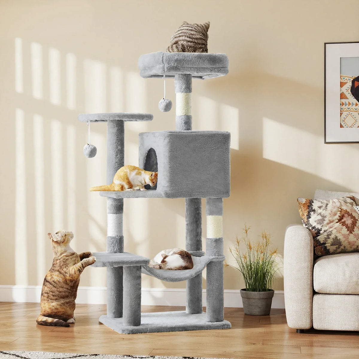 Pet Toys
